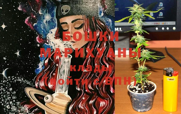 индика Богородск