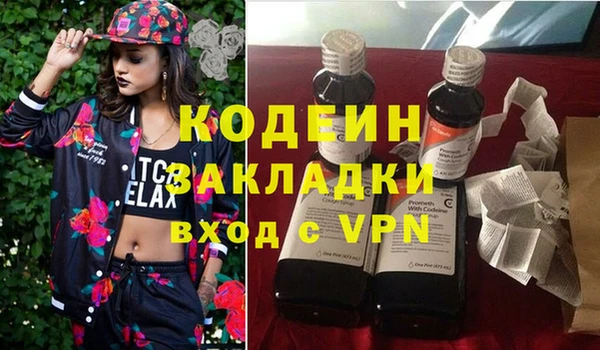 индика Богородск