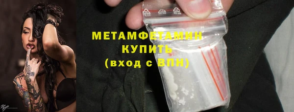 индика Богородск