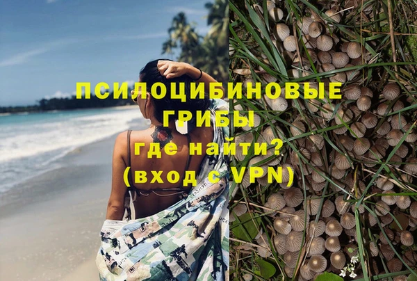 трава Богданович