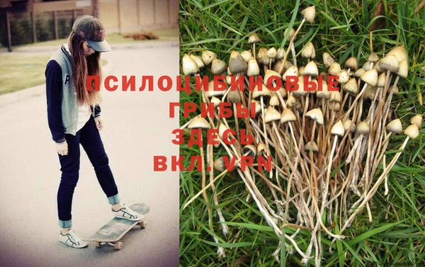 индика Богородск