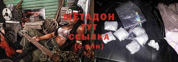 индика Богородск