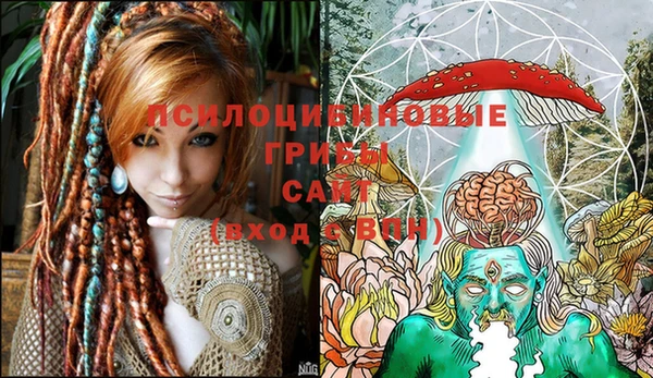 индика Богородск