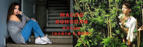 индика Богородск