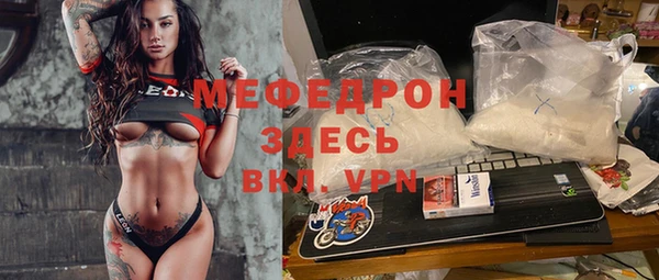 индика Богородск