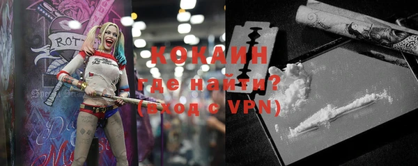индика Богородск