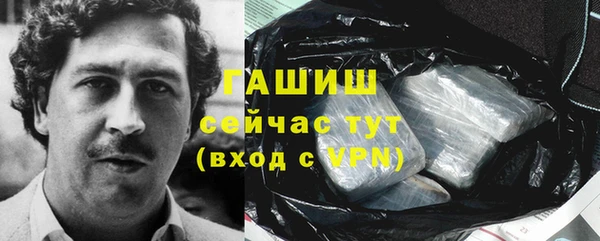 индика Богородск